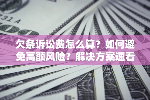 济南欠条诉讼费怎么算？如何避免高额风险？解决方案速看！