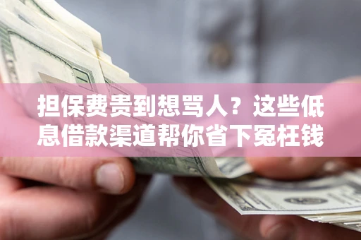 济南担保费贵到想骂人？这些低息借款渠道帮你省下冤枉钱